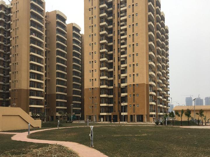 3 BHK Flat Sale NBCC Green View Apartment Sector 37D Gurgaon